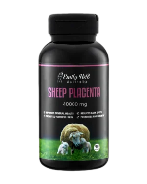 Sheep Placenta